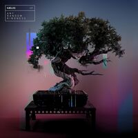 Hælos - Any Random Kindness vinyl cover