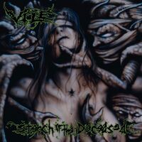 Hagalaz Runedance - Stench Of The Deceased vinyl cover