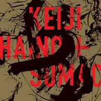 Haino - American Dollar Bill - Keep Facing Sideways, You're Too Hideous To Look At Face On vinyl cover