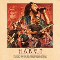 Haken - Liveforms vinyl cover
