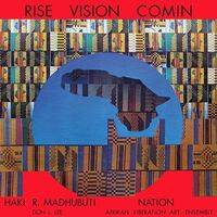 Haki R. Madhubuti - Rise Vision Comin vinyl cover