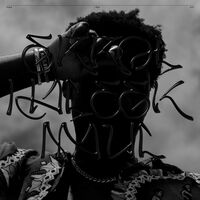 Haleek Maul - Errol vinyl cover