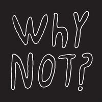 Half Japanese - Why Not vinyl cover