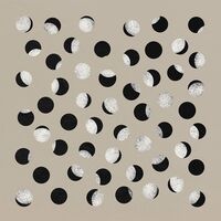 Half Moon Run - Covideos Sessions vinyl cover