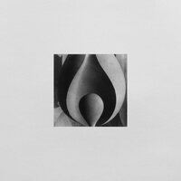 Hame - Almost Home vinyl cover