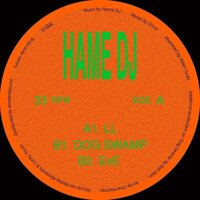 Hame DJ - Dog Swamp vinyl cover