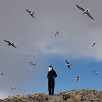 Hamerkop - Remote vinyl cover