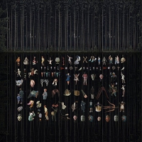 Hamid - Intristic Randomness vinyl cover
