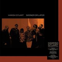 Hamish Stuart - Sooner Or Later vinyl cover