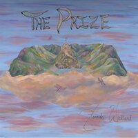 Hannah Wicklund - The Prize vinyl cover