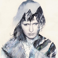 Hanne Kolstø - Stillness And Panic vinyl cover
