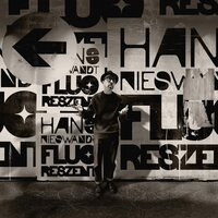 Hans Nieswandt - Fluoreszent vinyl cover