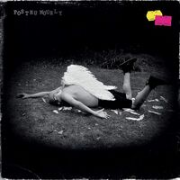 Hans Vandenburg - Posthumourly vinyl cover
