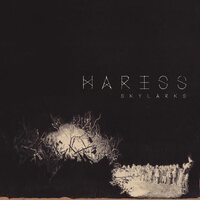 Haress - Skylarks vinyl cover