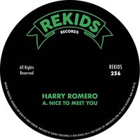 Harry Romero - Nice To Meet You vinyl cover