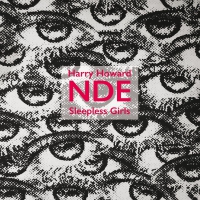 Harry & The Howard - Sleepless Girls vinyl cover