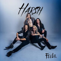 Harsh - Feels vinyl cover