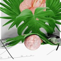 Hatchback - Year Of The Dragon vinyl cover