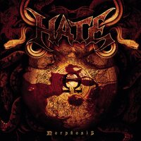 Hate - Morphosis vinyl cover