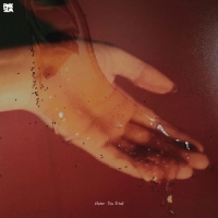 Hater - You Tried vinyl cover
