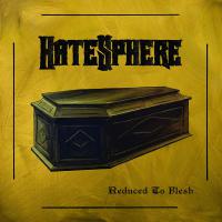 Hatesphere - Reduced To Flesh vinyl cover