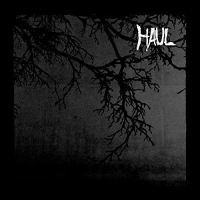 Haul - Seperation vinyl cover