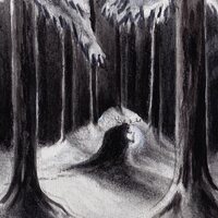 Havukruunu - Havulinnaan vinyl cover