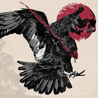 Hawery - Feast Of Vultures vinyl cover