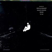 Hayes Bradley - Audience Remixed vinyl cover