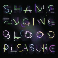 Health&Beauty - Shame Engine / Blood Pleasure vinyl cover