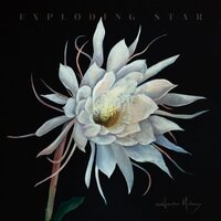 Heather Maloney - Exploding Star vinyl cover