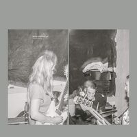 Hedvig Mollestad Trio - Smells Funny vinyl cover