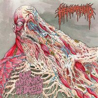 Hemorrhoid - Raw Materials Of Decay vinyl cover
