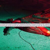 Henning Christiansen - Save The Nature vinyl cover