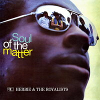 Herbie And The Royalists - The Soul Of The Matter vinyl cover