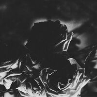Hexis - Split
