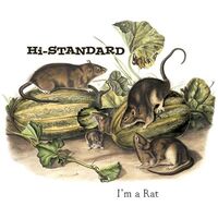 Hi-Standard - I'm A Rat