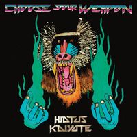 Hiatus Kaiyote - Choose Your Weapon vinyl cover