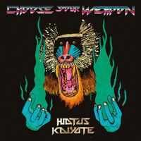 Hiatus Kaiyote - Choose Your Weapon vinyl cover