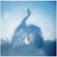Hibou - Something Familiar vinyl cover