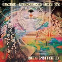 Hibushibire - Magical Metamorphosis Third Eye vinyl cover