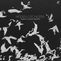Hidden Orchestra - Dawn Chorus Remixes vinyl cover