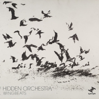 Hidden Orchestra - Wingbeats vinyl cover