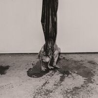 Hide - Interior Terror vinyl cover