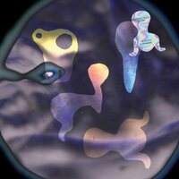 Hieroglyphic Being - Quadric Surfaces vinyl cover