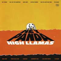 High Llamas - Hey Panda vinyl cover