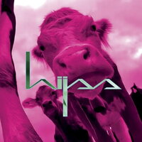 Hijss - Hijss vinyl cover