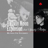 Hillbilly Moon Explosion - My Love for Evermore vinyl cover