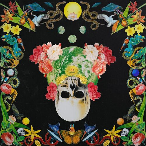 Hippie Death Cult - Helichrysum vinyl cover