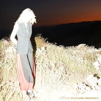 Hirons - Future Perfect vinyl cover